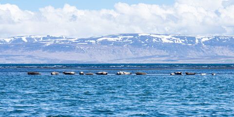 Island (2026-05) © Thomas