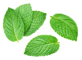 Eco mint leaves set isolated on transparent background. Green mint leaves collection isolated is fresh. Mint leaves set isolated png © URSA Star