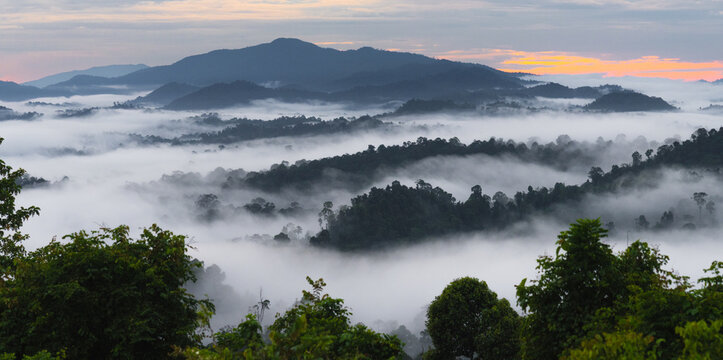 Borneo rainforest revealing misty mountains and tropical jungle 
