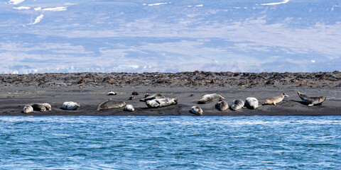Island (2026-05) © Thomas