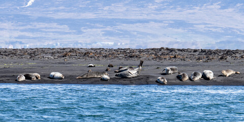 Island (2026-05) © Thomas