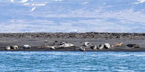 Island (2026-05) © Thomas