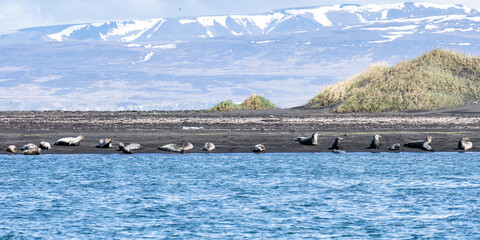 Island (2026-05) © Thomas