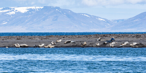 Island (2026-05) © Thomas