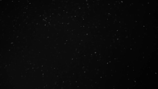 Snowflakes fall gently in the darkness against a black background. This snowfall creates a winter scene with a soft and immersive effect suitable for any chilly setting