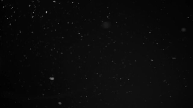 Snowfall occurs on a black background at night. Snowflakes drift down softly, creating a winter atmosphere. The scene shows a clear view of falling snow