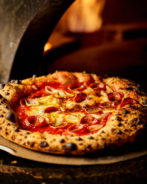 Oven Fired Pizza
