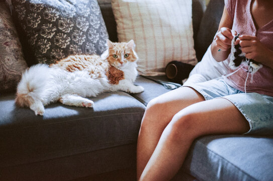 Crocheting with Fluffy Cat