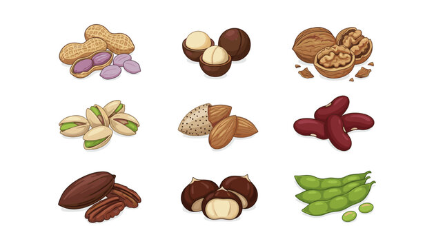 Assorted collection of healthy raw organic nuts and seeds with pistachios