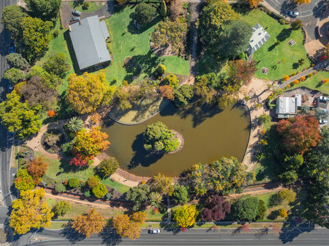 Garden lake surrounded by multi colored trees in Autumn tones