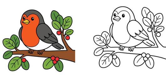 Cute Robin Bird Coloring Page with Colored Example, Cartoon Bird sitting on a Branch with Berries and Leaves, Line Art Vector Illustration for Kids Education Activity © MSTA