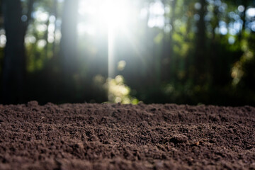 Obraz premium Fertile soil with natural earth background. Agricultural field with cultivated ground. Compost and organic fertilizer. Fertile land. Preparing soil for cultivation. Natural humus fertility.