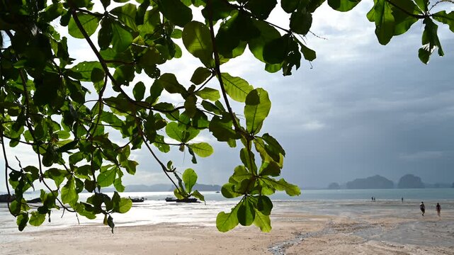Visitors walking beneath leaves at Tubkaek Beach