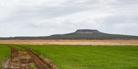 Island (2026-05) © Thomas