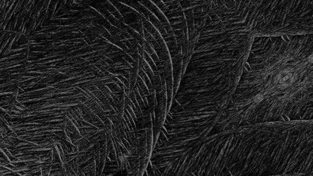 Dark abstract texture featuring dense etched lines, curved patterns, and intricate monochrome details.