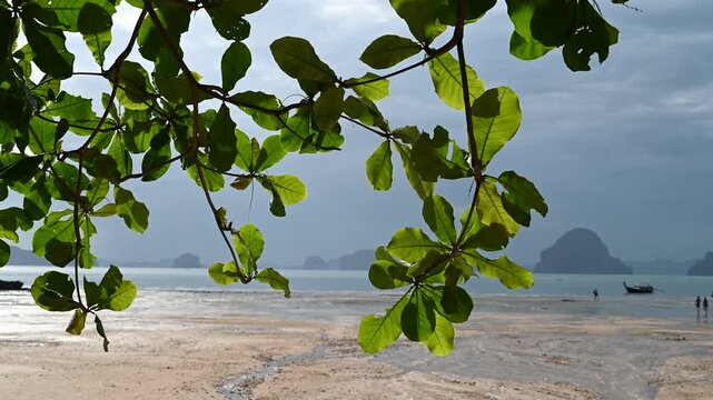 People walking behind leaves at Tubkaek Beach