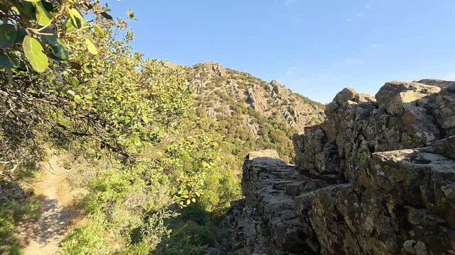 Forest pine trees and unique rock formations at Madari mountain trail in Cyprus