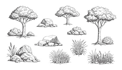 Hand drawn of trees rocks and grasses in a natural landscape bush nature © Fahim