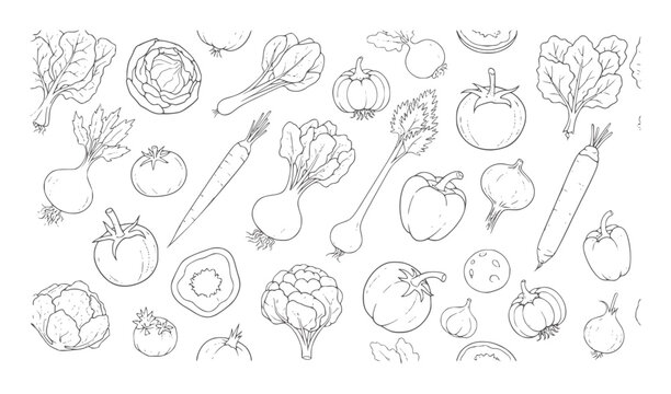 Hand drawn of various fresh vegetables arranged in a pattern food organic healthy