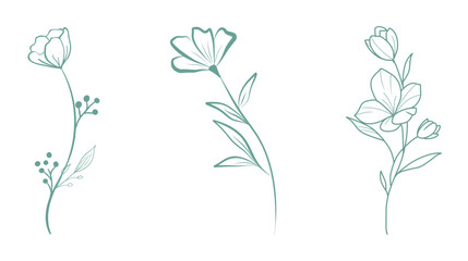 Minimalist hand drawn floral set with delicate wildflowers and leafy stems wildflowers botanical minimalist collection handdrawn illustration isolated decoration greeting © Sahazadi