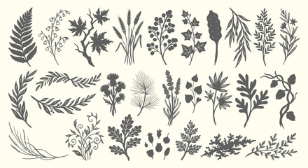 Fototapeta premium Hand drawn botanical silhouette branch set. dark grey fern, maple leaf, pine branch, ivy, lavender twigs. for rustic wedding invitations, elegant greeting card borders. vector elements.