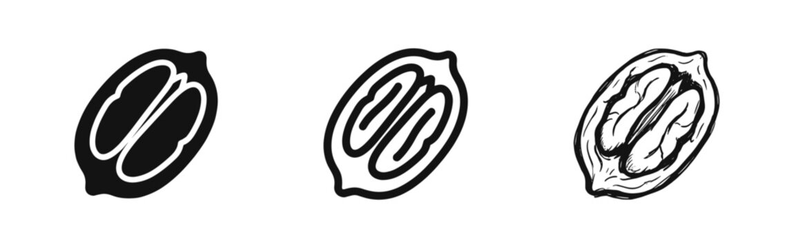 Walnut or Pecan Nut Icon Set - Half Nut Kernel in Solid, Line, and Hand-Drawn Sketch Styles