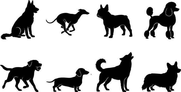 Dog breeds silhouette vector collection featuring domestic pets including shepherd greyhound bulldog poodle retriever dachshund husky and corgi on white background