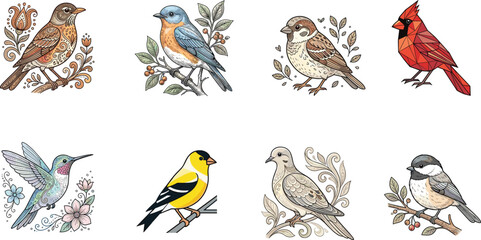Hand Drawn Songbird Vector Collection Featuring Bluebird Sparrow Cardinal Hummingbird Goldfinch Dove and Woodland Birds © Sarjina