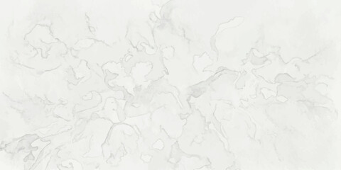 Fototapeta premium Abstract Marble Texture: A delicate and intricate abstract pattern resembling white marble, showcasing subtle veining and organic flow, perfect for elegant backgrounds and design elements.