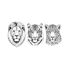 Wild cats head portraits set including lion tiger and leopard sketches. © Yusra