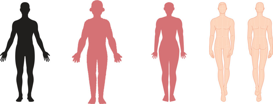 Collection of human body silhouettes and anatomical figure templates for design projects.