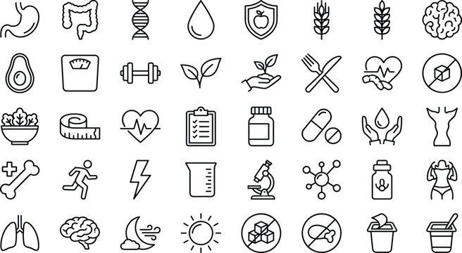 Nutrition and healthy lifestyle line icon set featuring human organs dietary restrictions supplements fitness tracking and organic food vector illustration