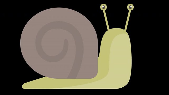 Cute Snail Illustration