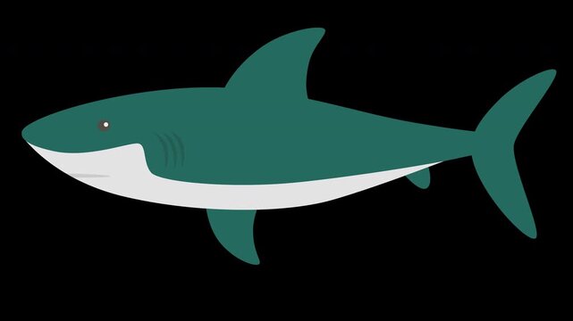 Cute Cartoon Shark Illustration