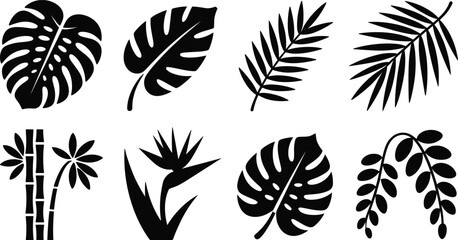 Tropical plant silhouettes monstera palm bamboo fern philodendron bird of paradise foliage vector illustration nature design collection for stock © MOSTSHAHANAJ