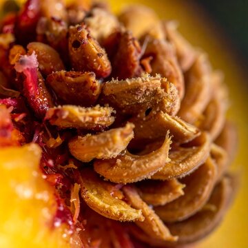 Macro view of dried fruit flesh and seeds