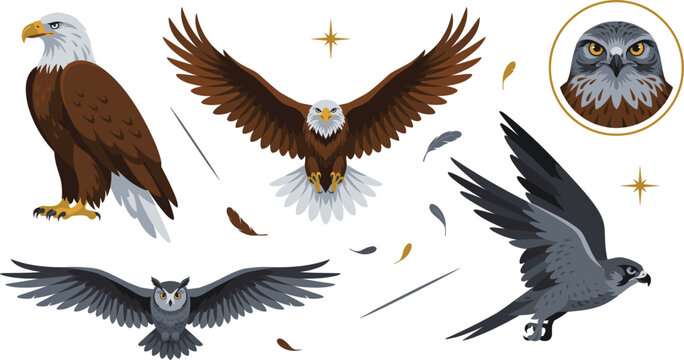 Predatory Birds Vector Illustration Set Featuring Bald Eagle, Flying Falcon, Wise Owl, and Hawk Portrait with Feathers and Celestial Elements for Wildlife Design