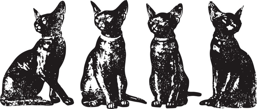 four elegant black cats sitting in a row with attentive and curious expressions