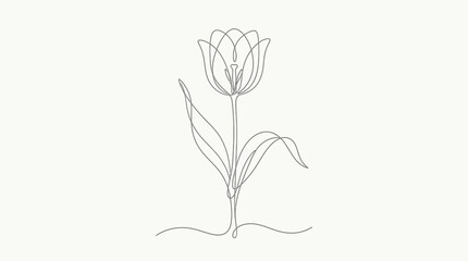 Obraz premium Minimalist tulip line art elegant single flower botanical illustration for modern spring decor and graphic design