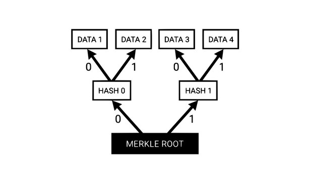 Merkle root tree diagram vector illustration. Blockchain cryptography data structure and hash function verification concept