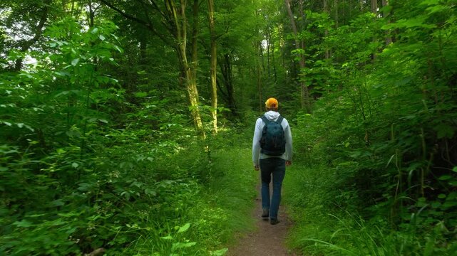 Adult with backpack hiking on a narrow scenic path in a lush green forest and enjoying the freshness of nature