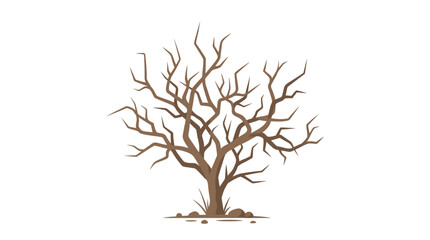 Fototapeta premium Bare leafless tree silhouette isolated on white background.