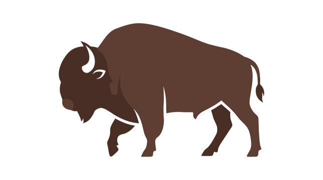 American bison walking illustration isolated on white background.