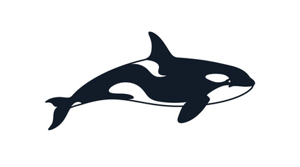 Sleek orca killer whale silhouette swimming motion. © Noemi