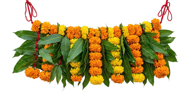 Indian marigold flower toran isolated on transparent background