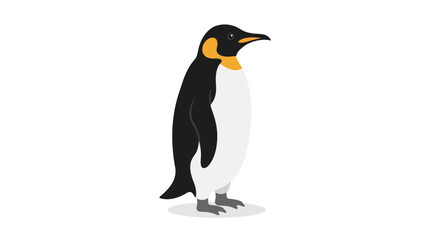 King penguin standing isolated on white background. © reihan