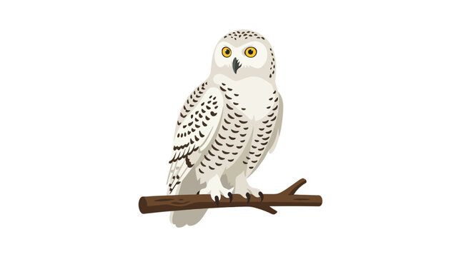 Snowy owl perched on a branch illustration.