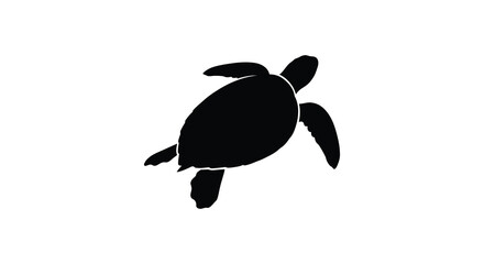 Sea turtle silhouette against a white background silhouette © Morsheda
