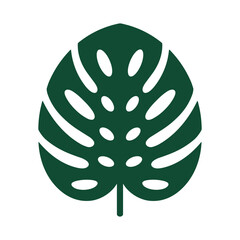 Monstera leaf icon, tropical plant foliage vector illustration © MdBillal