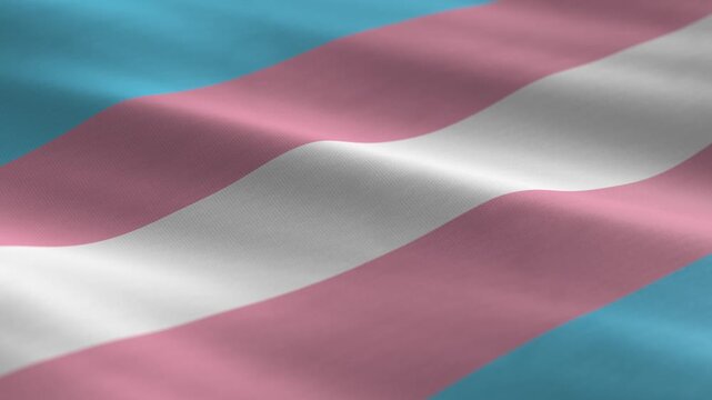 Transgender flag - background loop